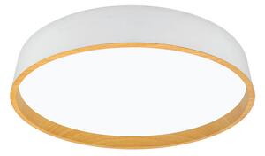 STROPNÉ LED SVIETIDLO, 50/8 cm XXXL - Série svietidiel