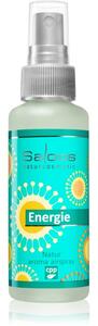 Saloos Air Fresheners Energy bytový sprej 50 ml