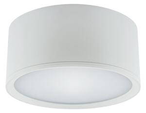 Strühm Stropné bodové prisadené svietidlo ROLEN LED 15 W WHITE Neutral White 3110