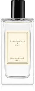 Cereria Mollá Black Orchid & Lily bytový sprej 100 ml