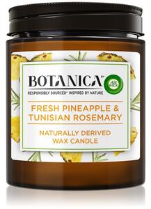 Air Wick Botanica Fresh Pineapple & Tunisian Rosemary vonná sviečka 205 g