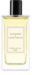 Cereria Mollá Raspberry & Black Vanilla bytový sprej 100 ml