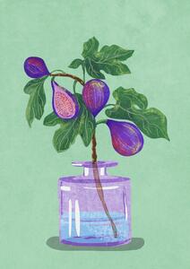 Ilustrácia Figs Branch In Vase, Raissa Oltmanns, (30 x 40 cm)