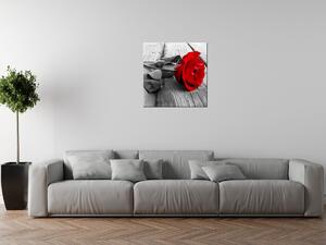 Gario Obraz na plátne Červená ruža Veľkosť: 30 x 20 cm