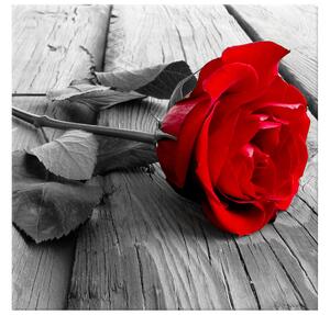 Gario Obraz na plátne Červená ruža Veľkosť: 40 x 30 cm