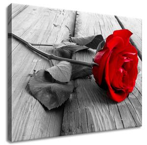 Gario Obraz na plátne Červená ruža Veľkosť: 50 x 40 cm