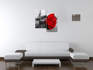 Gario Obraz na plátne Červená ruža Veľkosť: 60 x 60 cm