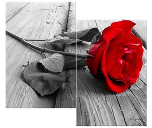 Gario Obraz na plátne Červená ruža Veľkosť: 60 x 60 cm
