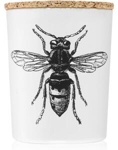 Vila Hermanos Insect Calabrone vonná sviečka 75 g