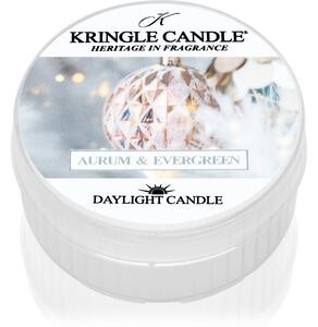 Kringle Candle Aurum & Evergreen čajová sviečka 42 g