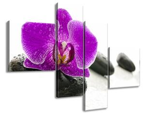 Gario 4 dielny obraz na plátne Orchidea na kameni Veľkosť: 100 x 70 cm