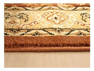 *Kusový koberec klasický vzor 2 hnedý 250x350cm