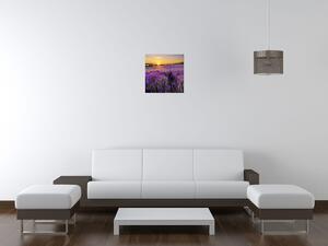 Gario Obraz na plátne Levanduľové pole Veľkosť: 30 x 40 cm