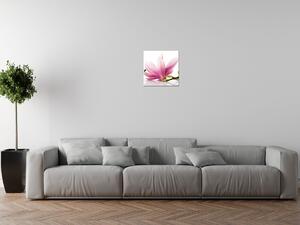 Obraz na plátne Ružové magnólie Rozmery: 120 x 80 cm