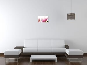 Obraz na plátne Ružové magnólie Rozmery: 60 x 90 cm