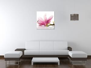 Obraz na plátne Ružové magnólie Rozmery: 30 x 30 cm