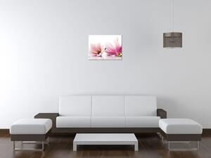 Obraz na plátne Ružové magnólie Rozmery: 120 x 80 cm