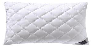 VANKÚŠ POD HLAVU, 40/80 cm Billerbeck - Prikrývky & vankúše