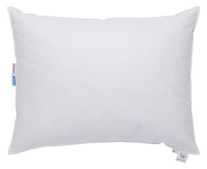 VANKÚŠ, 70/90 cm Sleeptex - Prikrývky & vankúše