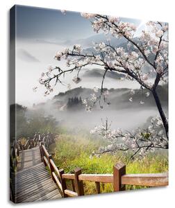 Gario Obraz na plátne Kvitnúca višňa Veľkosť: 20 x 30 cm