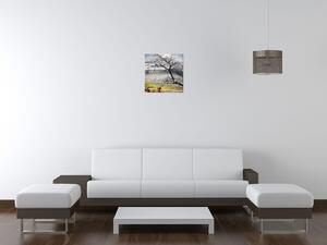 Gario Obraz na plátne Kvitnúca višňa Veľkosť: 20 x 30 cm