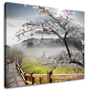 Gario Obraz na plátne Kvitnúca višňa Veľkosť: 30 x 30 cm