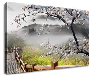 Gario Obraz na plátne Kvitnúca višňa Veľkosť: 30 x 20 cm