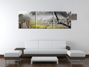 Gario Obraz na plátne Kvitnúca višňa Veľkosť: 120 x 40 cm