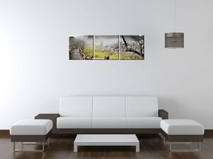 Gario Obraz na plátne Kvitnúca višňa Veľkosť: 120 x 40 cm