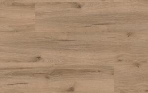 SolidDryback Authentic Dub Rustic 2020