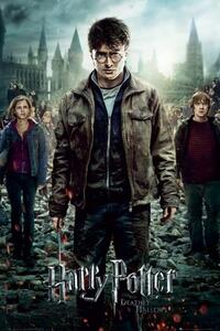 Plagát, Obraz - Harry Potter a Dary smrti