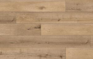 Area Floors Area Authentic 505 KASCHMIR OAK 5+1,5 mm