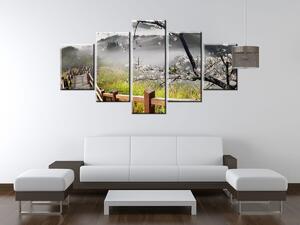 Gario Obraz na plátne Kvitnúca višňa Veľkosť: 100 x 63 cm