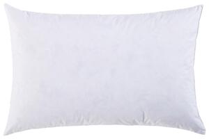 VÝPLŇOVÝ VANKÚŠ 40/60 cm Sleeptex - Textil do domácnosti