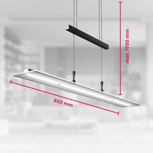 LED závesné svietidlo Tick čierna, sklo, stmievateľné, výškovo nastaviteľné, Čierna, Obývacia izba / jedáleň, Sklo, Moderný, Závesné svietidlo