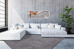Lalee Kusový koberec Velluto 400 Silver Rozmer koberca: 200 x 290 cm