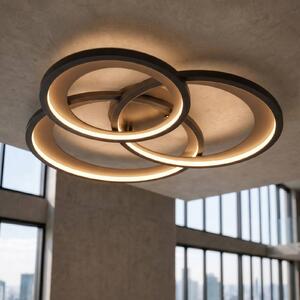 Trio Lighting Stropné LED svietidlo Granada, čierna matná/zlatá, Čierna, Obývacia izba / jedáleň, kov, Moderný, Závesné svietidlo