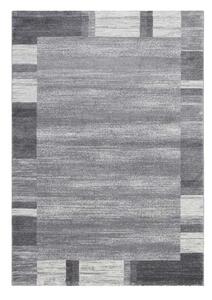 Lalee Kusový koberec Feeling 500 Silver Rozmer koberca: 200 x 290 cm