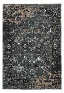 Lalee Kusový koberec Greta Pet 807 Rozmer koberca: 160 x 230 cm