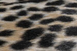 Lalee Kusový koberec Rodeo204 Cheetah