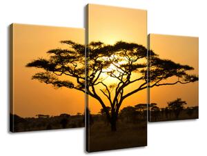 Gario Obraz na plátne Akácia v Serengeti Veľkosť: 120 x 40 cm