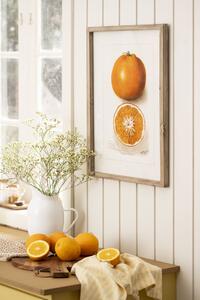 Obraz v rámé Citrus Fruits 45 x 60 cm Citron