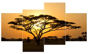 Gario Obraz na plátne Akácia v Serengeti Veľkosť: 120 x 45 cm
