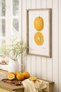 Obraz v rámé Citrus Fruits 45 x 60 cm Pomeranč
