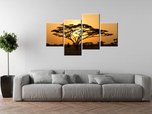 Gario Obraz na plátne Akácia v Serengeti Veľkosť: 120 x 70 cm
