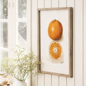 Obraz v rámé Citrus Fruits 45 x 60 cm Citron