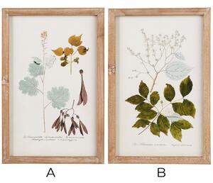 Obraz v ráme Plant Motifs 25 x 38 cm A