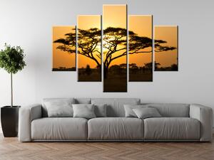 Gario Obraz na plátne Akácia v Serengeti Veľkosť: 150 x 70 cm