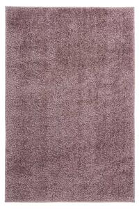 Obsession Kusový koberec My Emilia 250 Powder Purple Rozmer koberca: 160 x 230 cm
