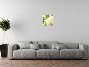 Obraz na plátne Jemné tulipány Rozmery: 100 x 40 cm